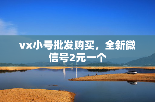 vx小号批发购买，全新微信号2元一个