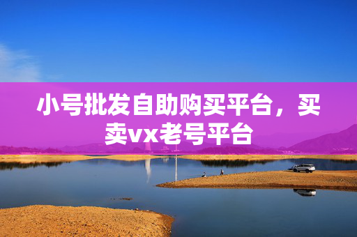 小号批发自助购买平台，买卖vx老号平台