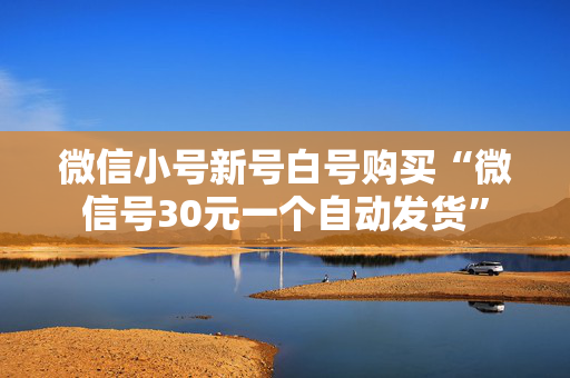 微信小号新号白号购买“微信号30元一个自动发货”