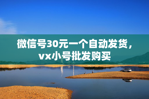 微信号30元一个自动发货，vx小号批发购买