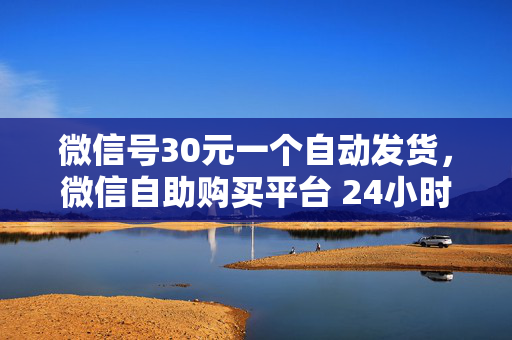 微信号30元一个自动发货，微信自助购买平台 24小时