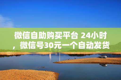 微信自助购买平台 24小时，微信号30元一个自动发货