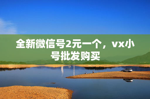 全新微信号2元一个，vx小号批发购买