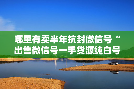 哪里有卖半年抗封微信号“出售微信号一手货源纯白号”