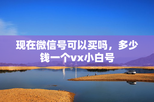 现在微信号可以买吗，多少钱一个vx小白号